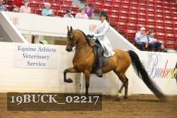 19BUCK_02217 proof