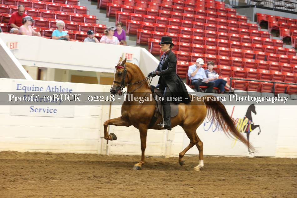 Proof 19BUCK_02218