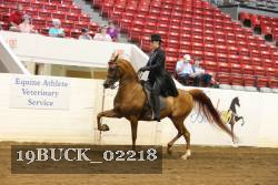19BUCK_02218 proof