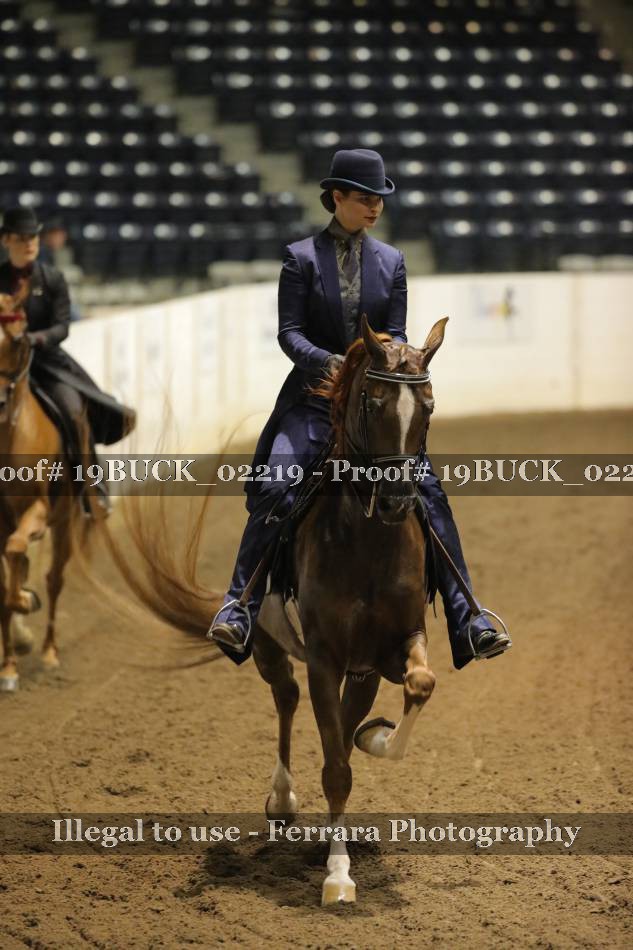 Proof 19BUCK_02219