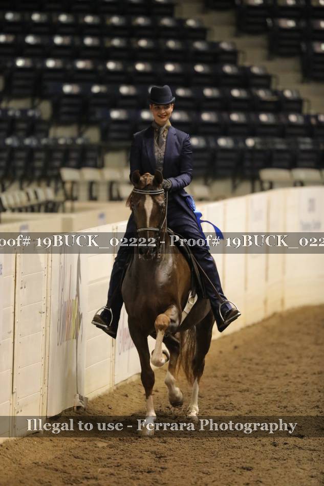 Proof 19BUCK_02222