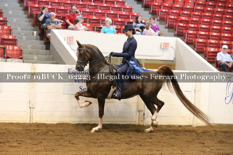 Proof 19BUCK_02223