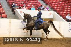 19BUCK_02223 proof