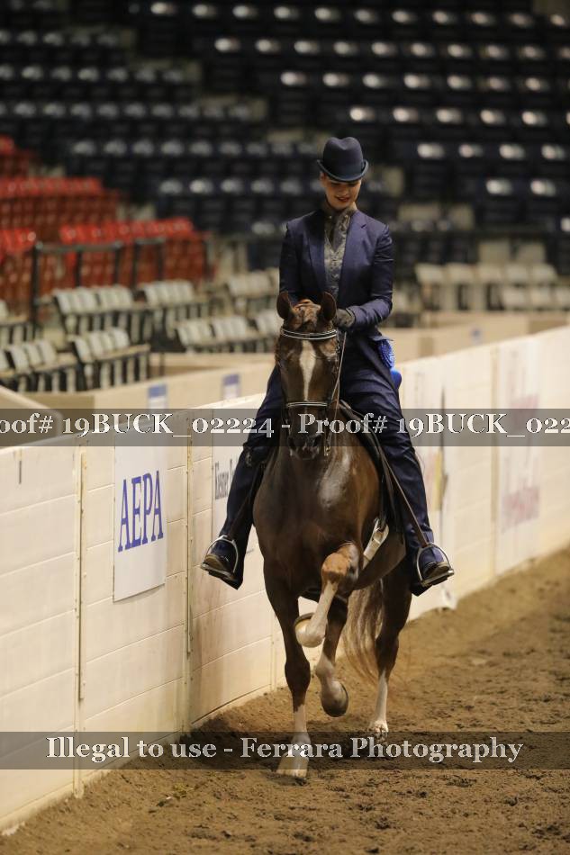 Proof 19BUCK_02224