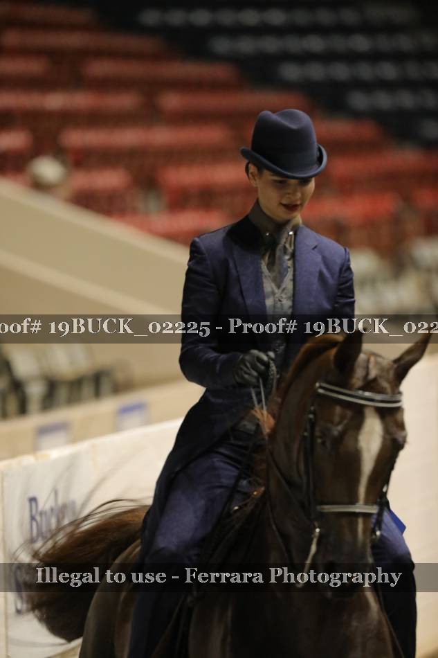 Proof 19BUCK_02225