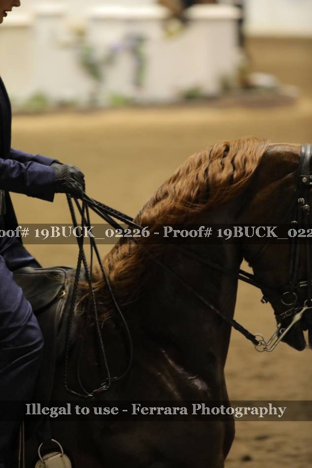 Proof 19BUCK_02226