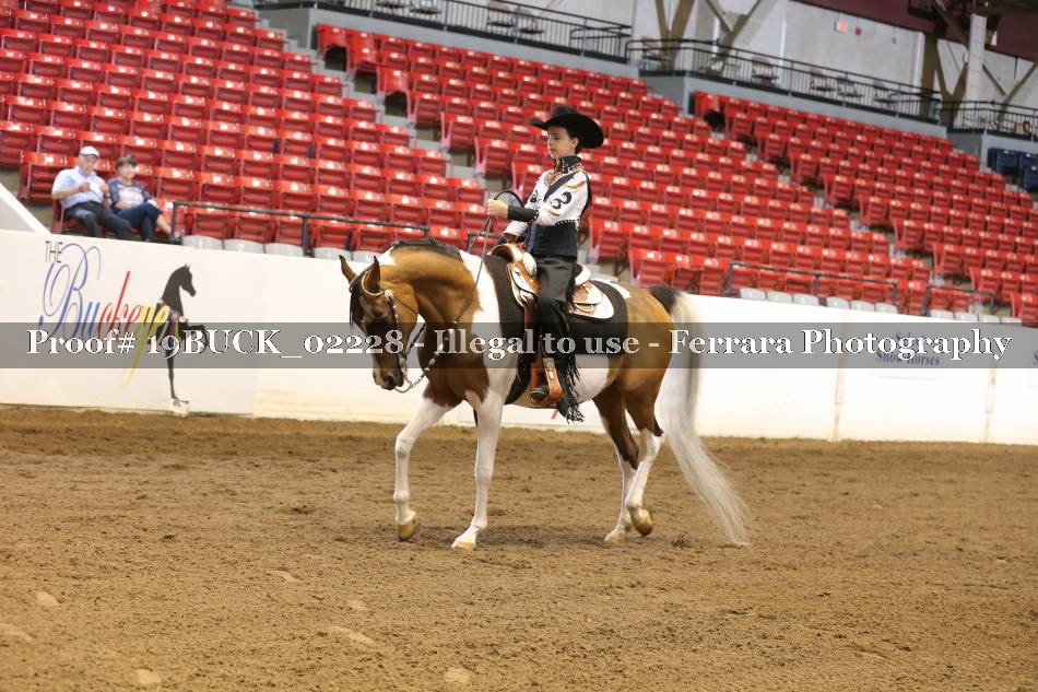 Proof 19BUCK_02228