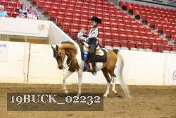 19BUCK_02232 proof