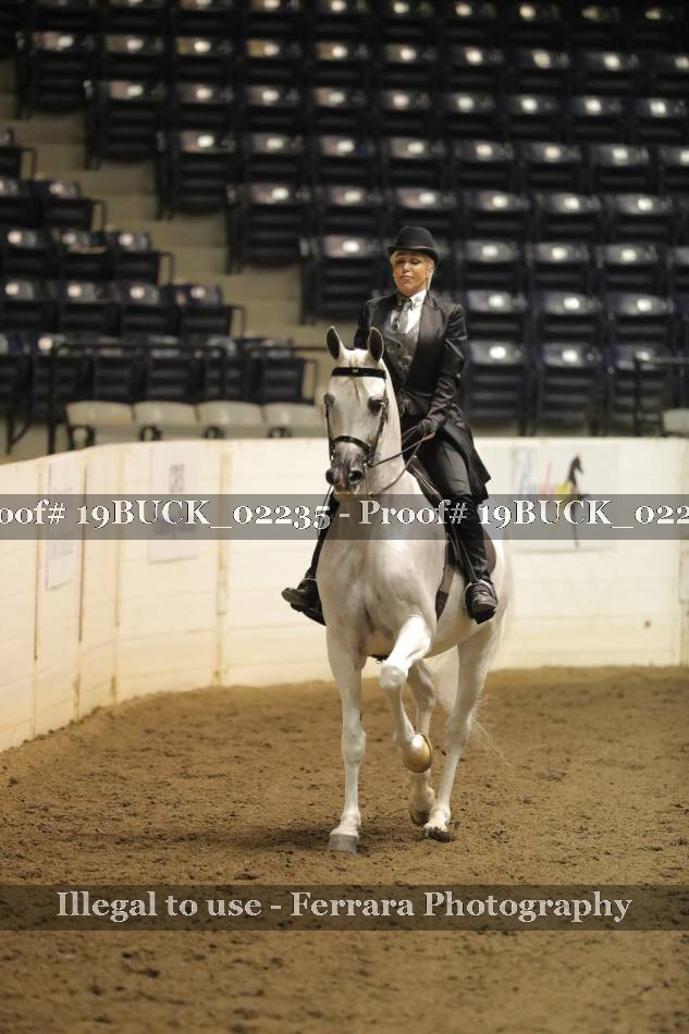 Proof 19BUCK_02235