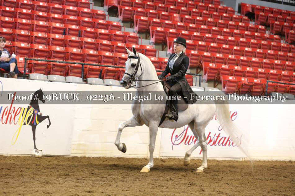 Proof 19BUCK_02236