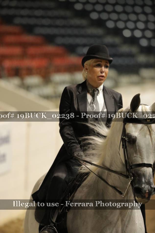 Proof 19BUCK_02238