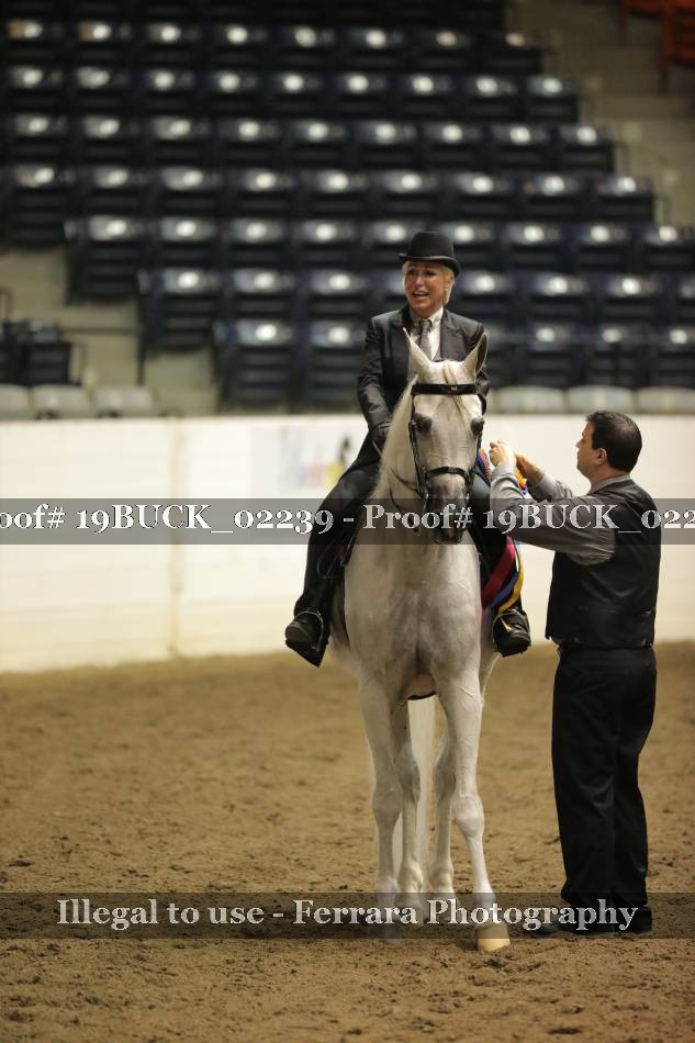 Proof 19BUCK_02239