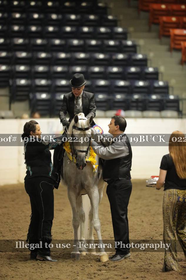 Proof 19BUCK_02240