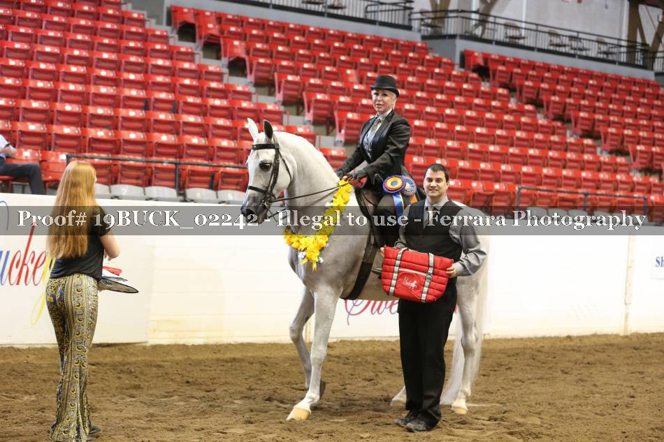 Proof 19BUCK_02242