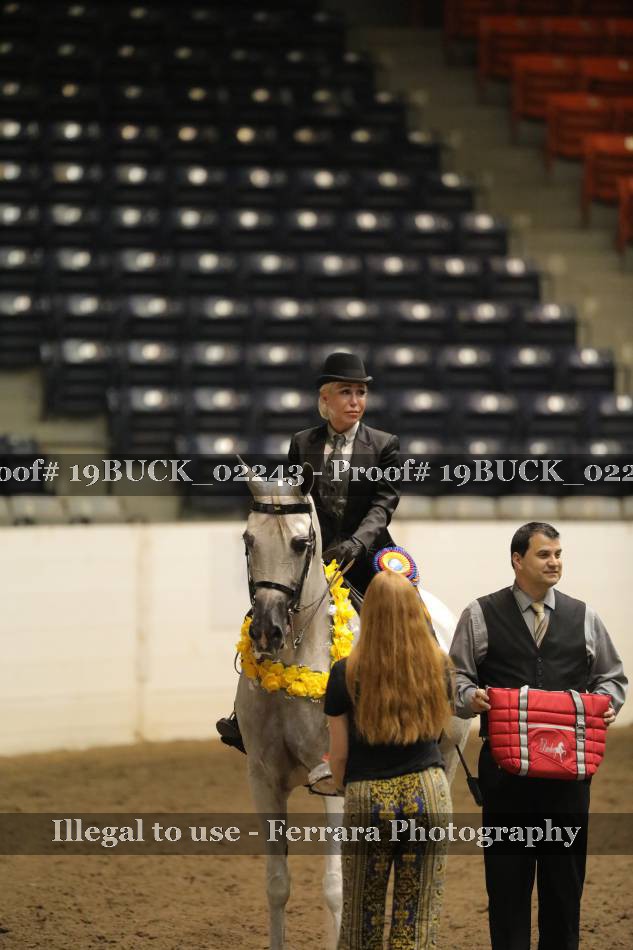 Proof 19BUCK_02243