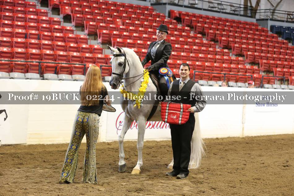 Proof 19BUCK_02244