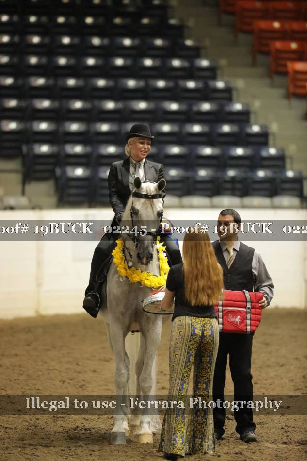 Proof 19BUCK_02245
