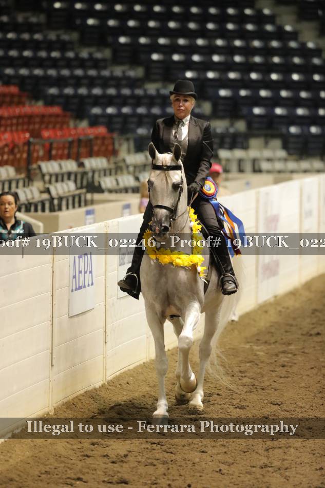 Proof 19BUCK_02246