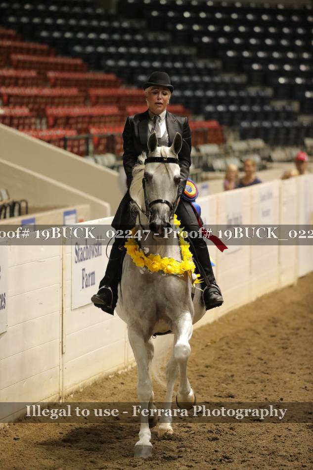 Proof 19BUCK_02247