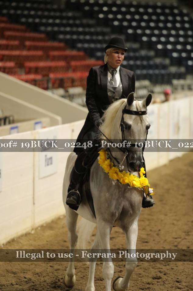 Proof 19BUCK_02248
