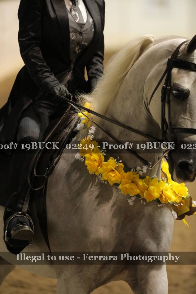 Proof 19BUCK_02249