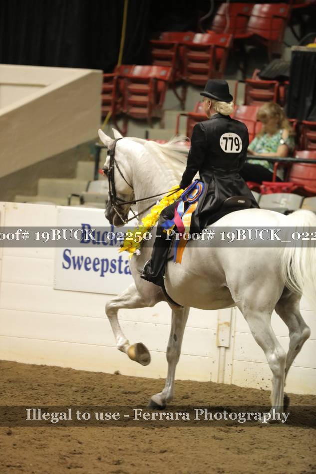 Proof 19BUCK_02250