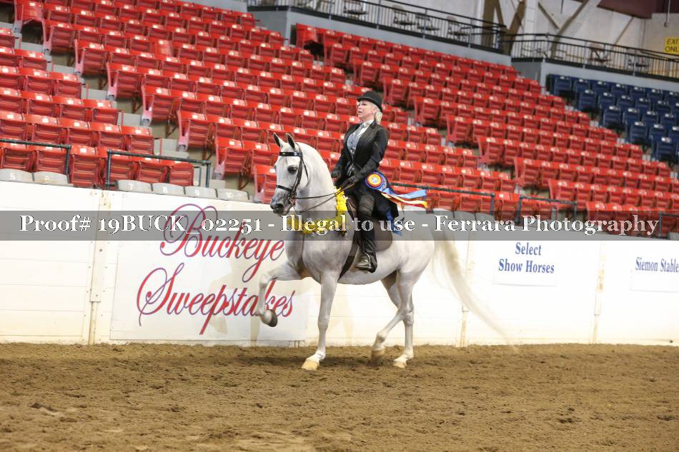 Proof 19BUCK_02251