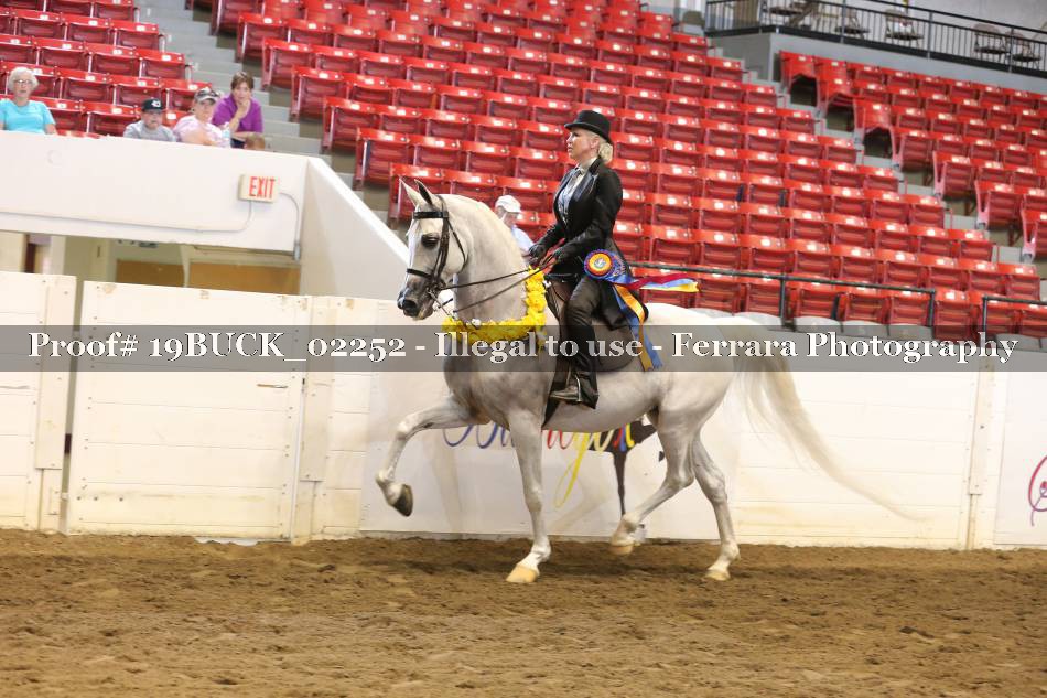 Proof 19BUCK_02252