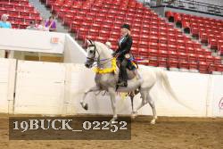 19BUCK_02252 proof