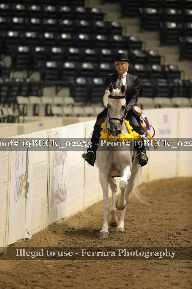 Proof 19BUCK_02253