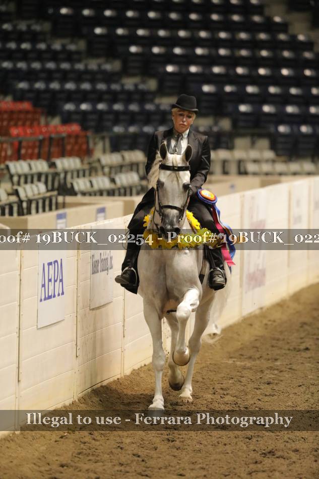 Proof 19BUCK_02254