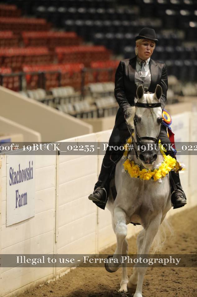 Proof 19BUCK_02255