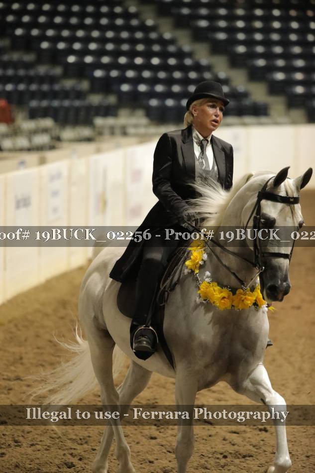 Proof 19BUCK_02256