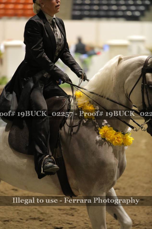 Proof 19BUCK_02257