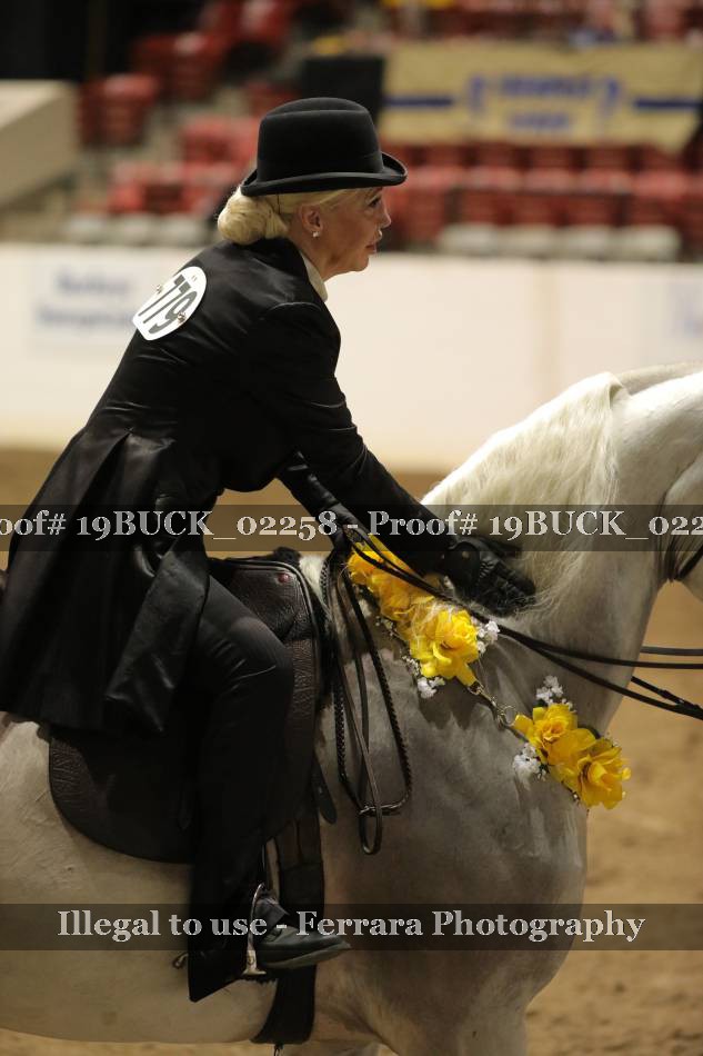 Proof 19BUCK_02258