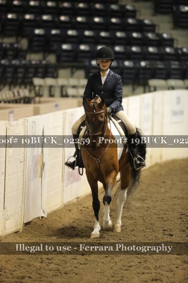 Proof 19BUCK_02259