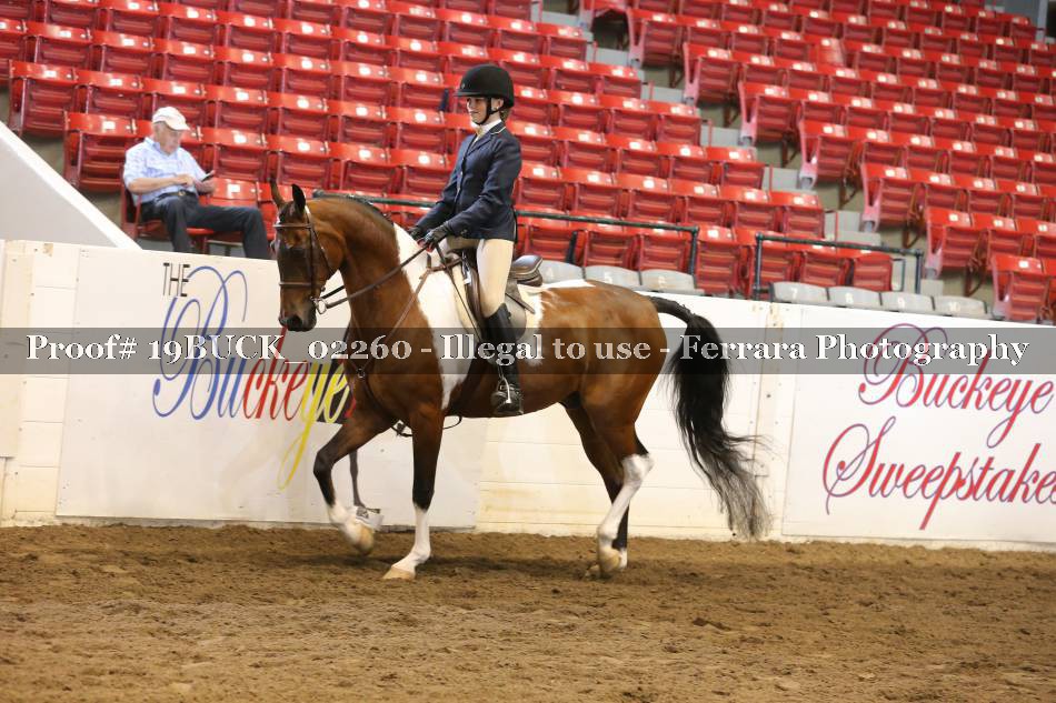 Proof 19BUCK_02260