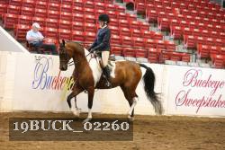 19BUCK_02260 proof