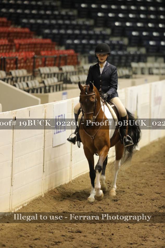Proof 19BUCK_02261
