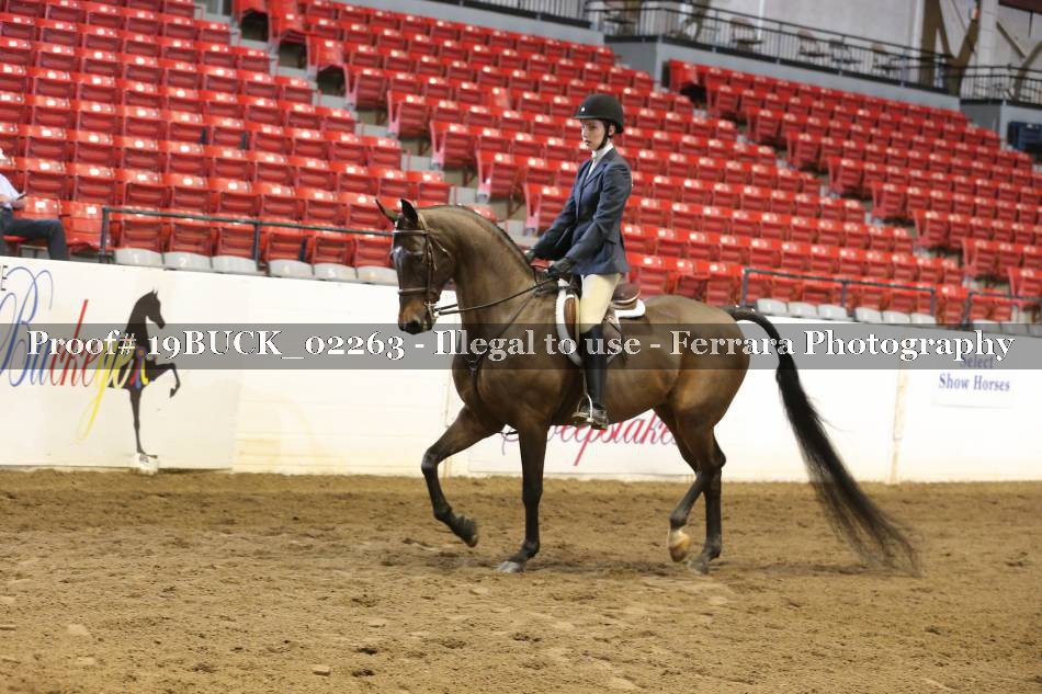 Proof 19BUCK_02263