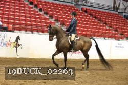 19BUCK_02263 proof