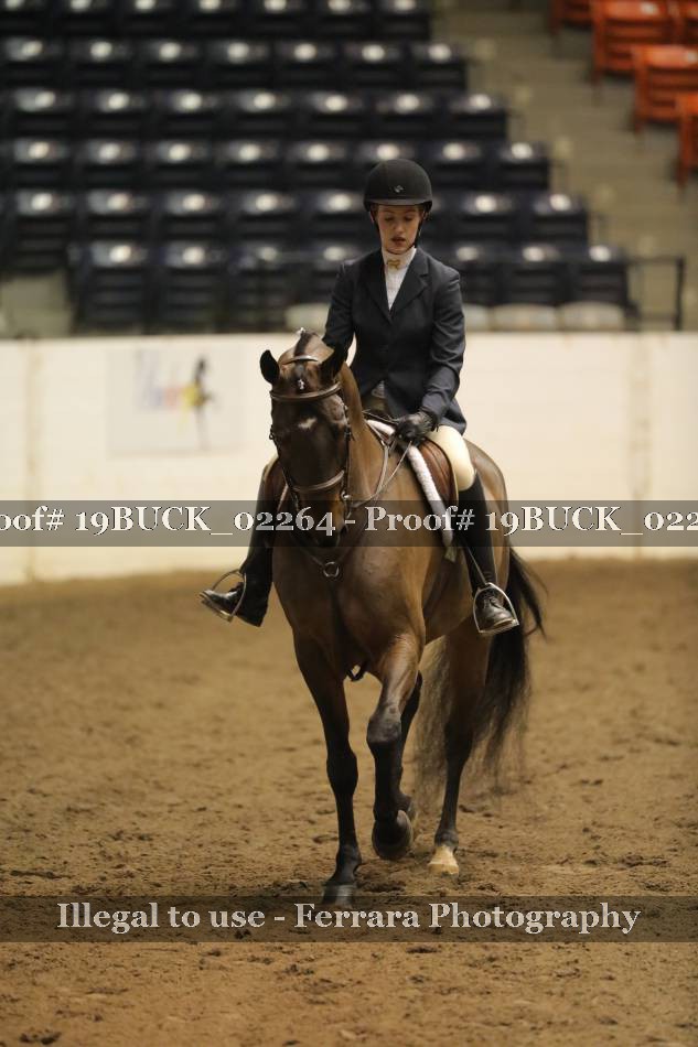 Proof 19BUCK_02264