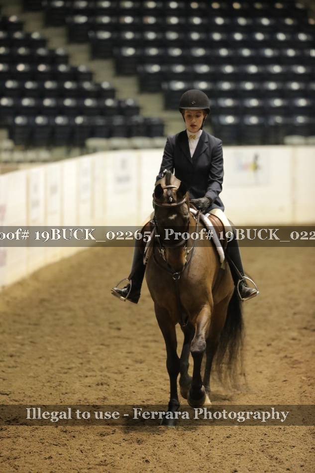 Proof 19BUCK_02265