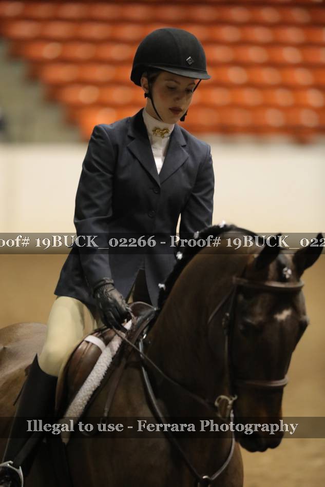 Proof 19BUCK_02266