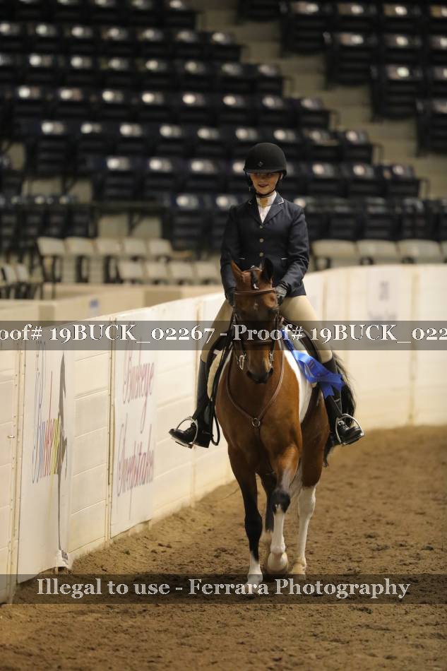 Proof 19BUCK_02267