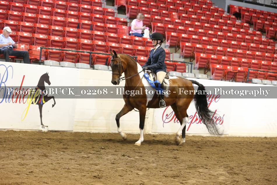 Proof 19BUCK_02268