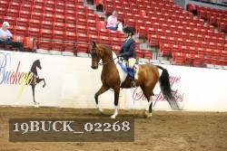 19BUCK_02268 proof