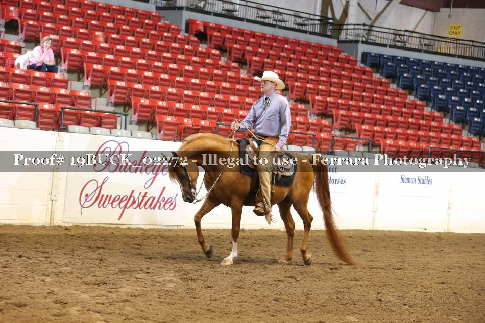 Proof 19BUCK_02272