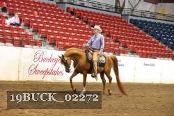 19BUCK_02272 proof