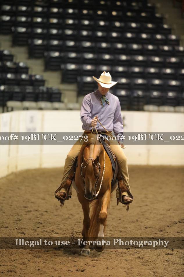 Proof 19BUCK_02273